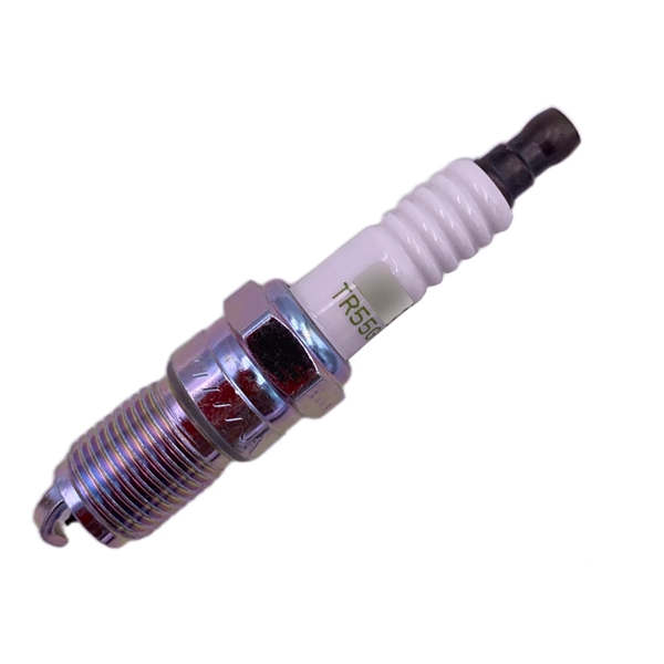 3403 TR55GP