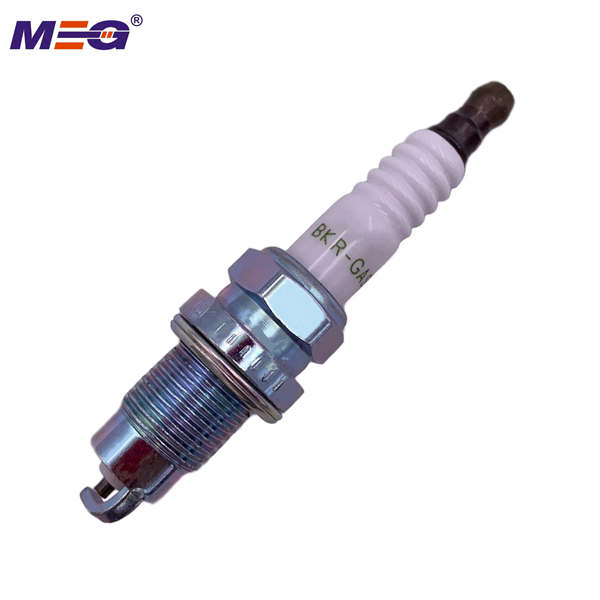 7987 BKR-GAS